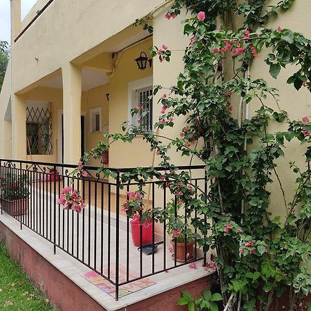 Oliveland Apartments Kávos Dış mekan fotoğraf