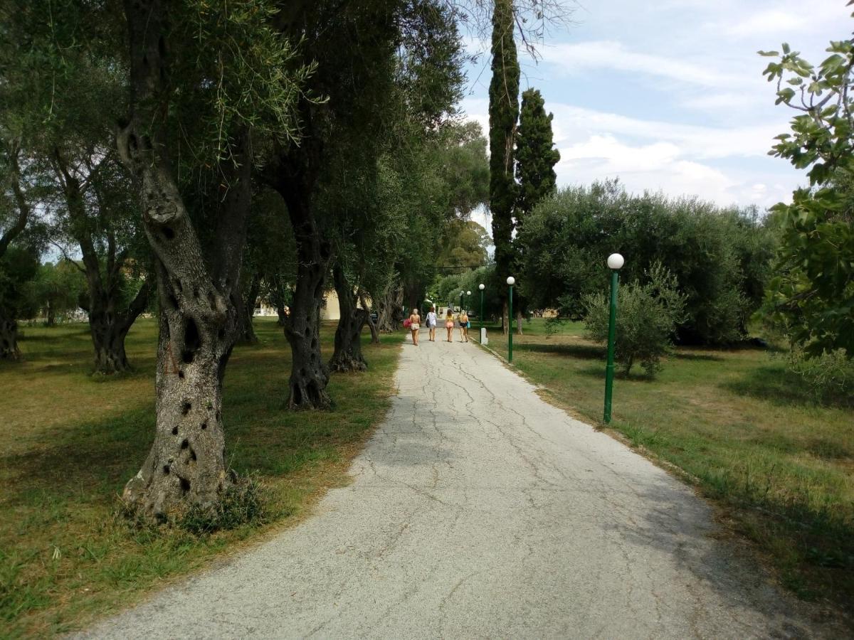 Oliveland Apartments Kávos Dış mekan fotoğraf