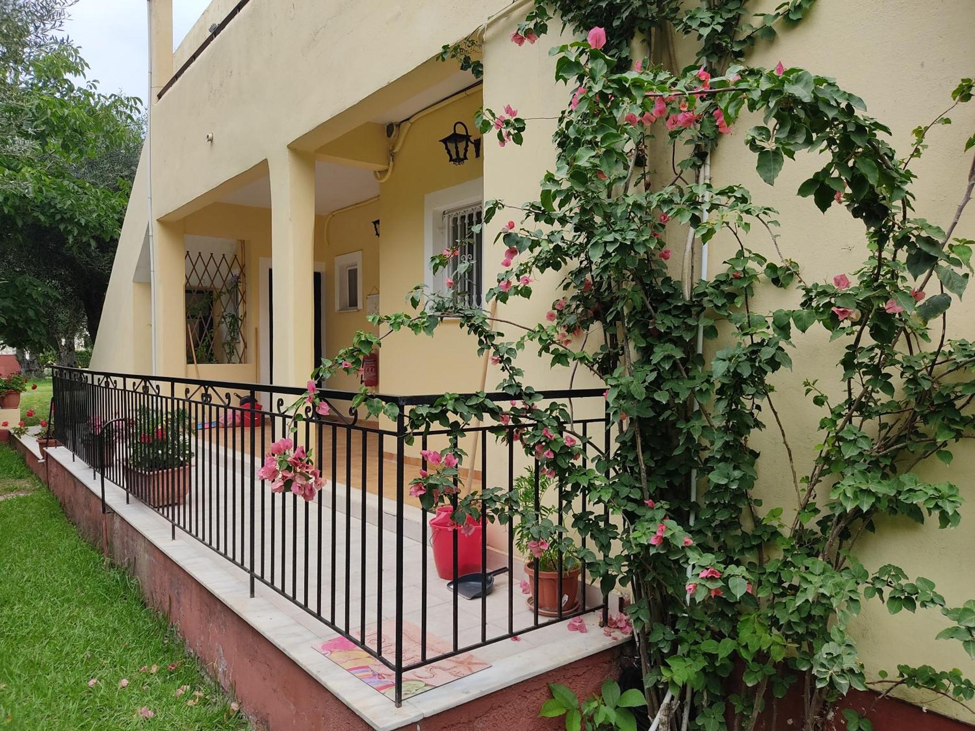 Oliveland Apartments Kávos Dış mekan fotoğraf