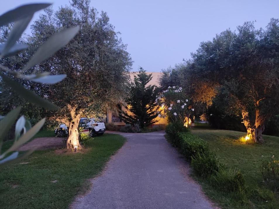 Oliveland Apartments Kávos Dış mekan fotoğraf
